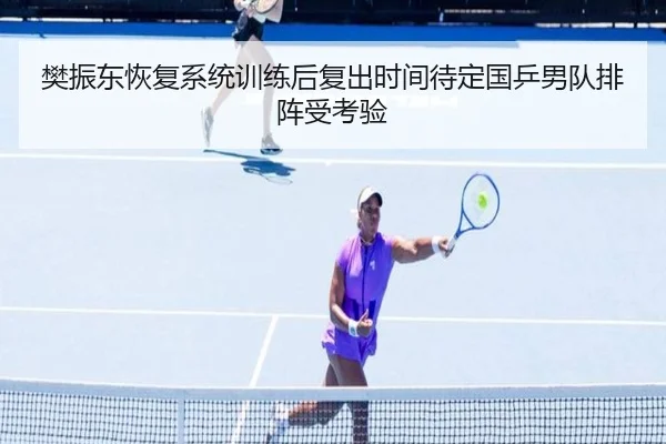 樊振东恢复系统训练后复出时间待定国乒男队排阵受考验