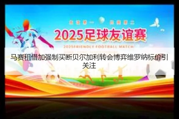 马赛租借加强制买断贝尔加利转会博弈维罗纳标价引关注 - bet365app